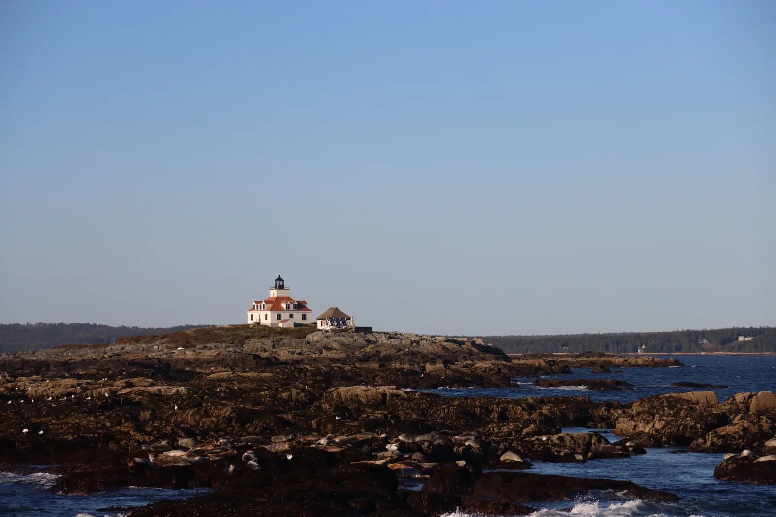 New England lighthouse on the coast
